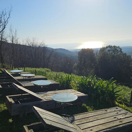 Domaine Colonna-Santini, Gite Piscine, Sauna, Spa Porri Exteriér fotografie